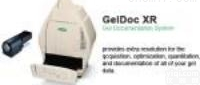GI-1  凝胶成像系统SYSTEM GelDoc <em>XR</em>+