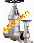 <em>美国</em>OKE进口<em>高温高压</em>截止阀