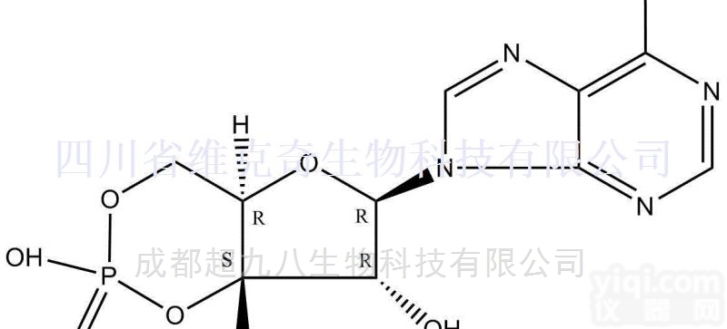 <em>60</em>-92-4  环<em>磷酸</em>腺苷 <em>60</em>-92-4高纯现货标准品