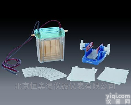 BL/<em>DYCZ</em>-24EN  双<em>垂直电泳</em>槽