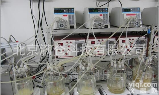 北京满仓 MC-ADF-XL  1L厌氧<em>发酵罐</em> <em>沼气</em>罐 甲烷气体在线检测