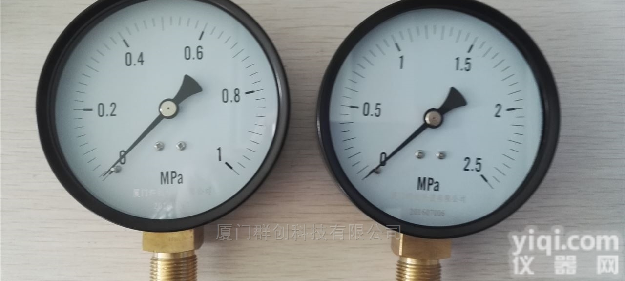 Y-XXX  厦门群创Y<em>系列</em><em>普通</em><em>压力表</em>