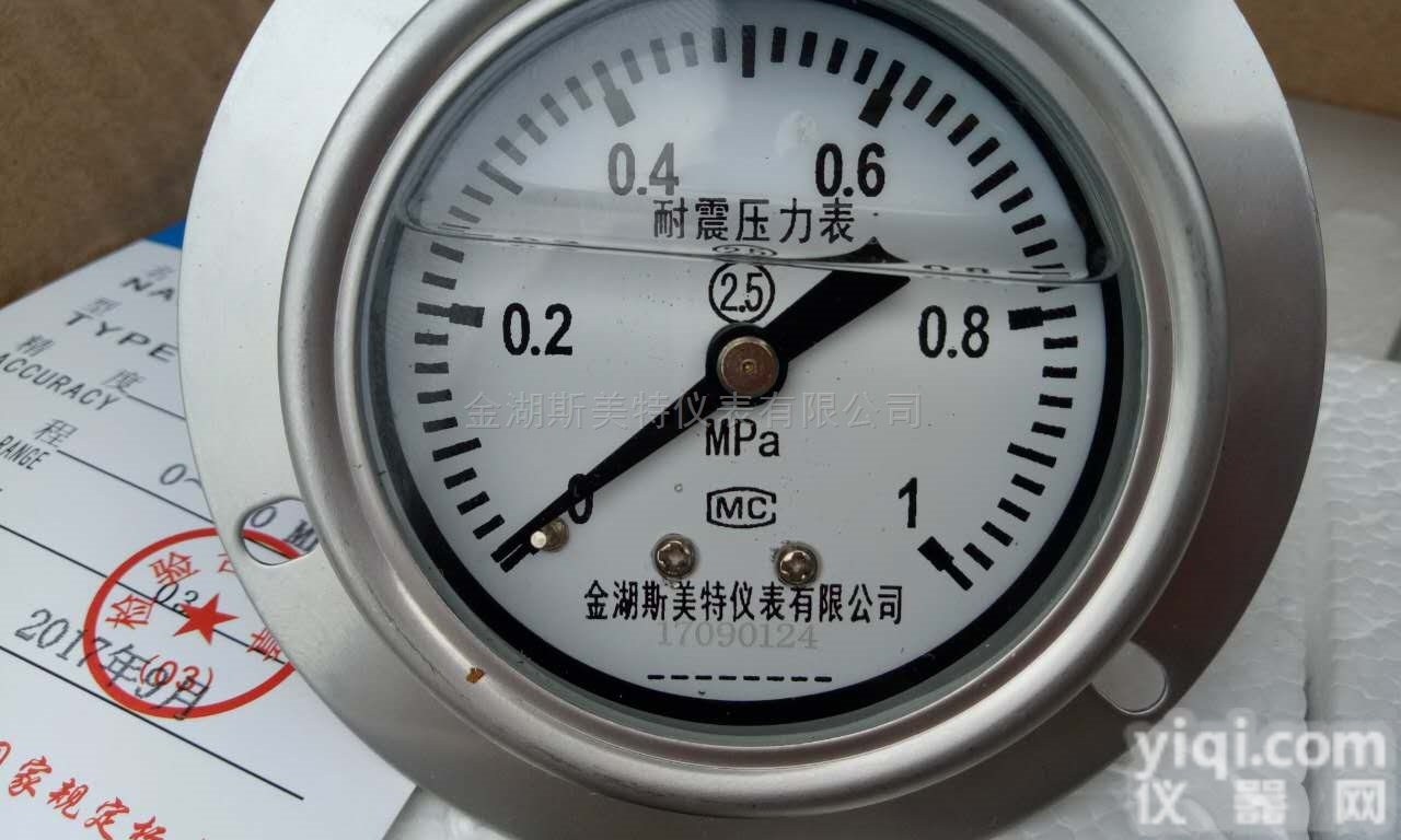 <em>Y-63B-FZ轴向带前边耐震不锈钢压力表</em>0.6MPA