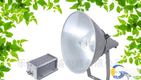 ZY8310  抗震型投光灯  <em>通明</em>ZY8310施工现场照明灯