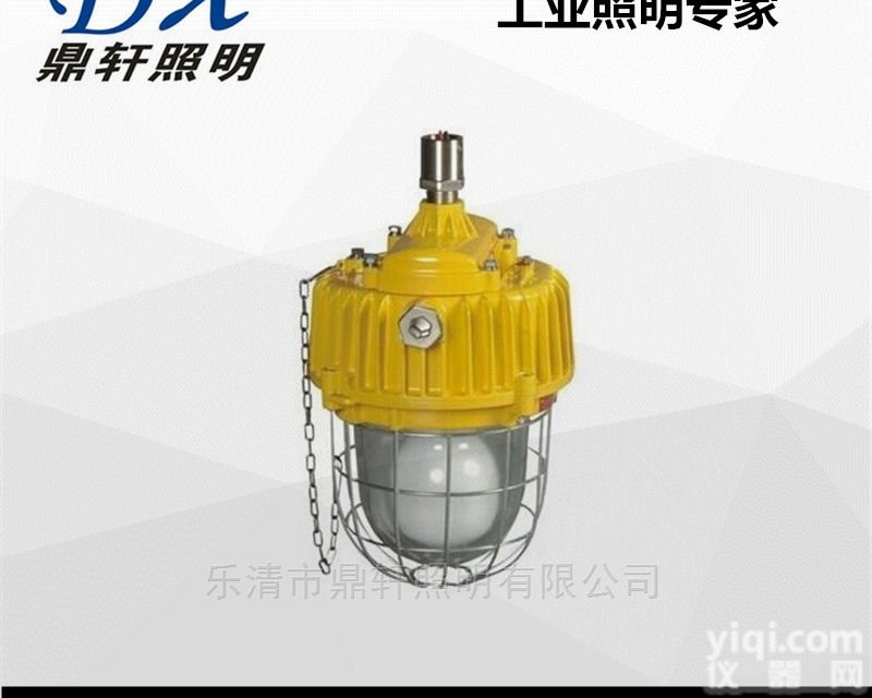 BYC1014  <em>防爆灯</em><em>一体式</em>BYC1014-40W无极灯光源