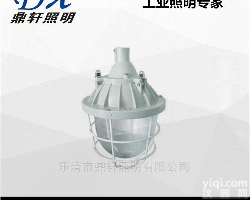 BAD51  <em>BAD51隔爆型防爆灯</em>白炽灯金卤灯