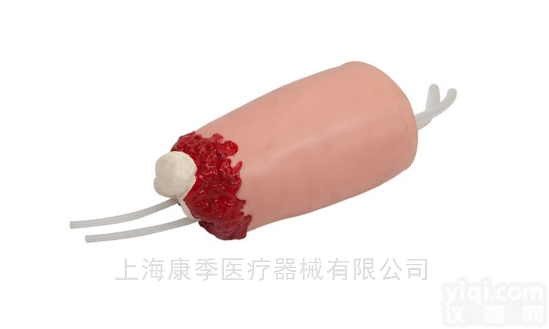 KAJ/H3008  <em>下肢</em>外伤断肢<em>止血</em>训练模型