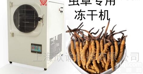 XY-FD-L4  上海<em>实验</em>室<em>冻干机</em>价格、<em>小型</em>虫草冻干厂家