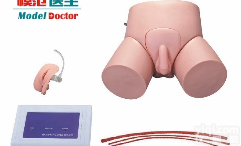 YIM/D  电子<em>导尿</em>及<em>灌肠</em>教学实习模型