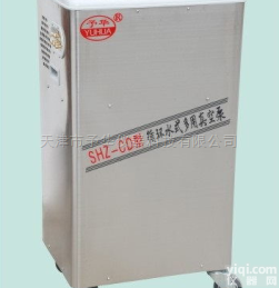 SHZ-CD全不锈钢五抽头循环水真空泵