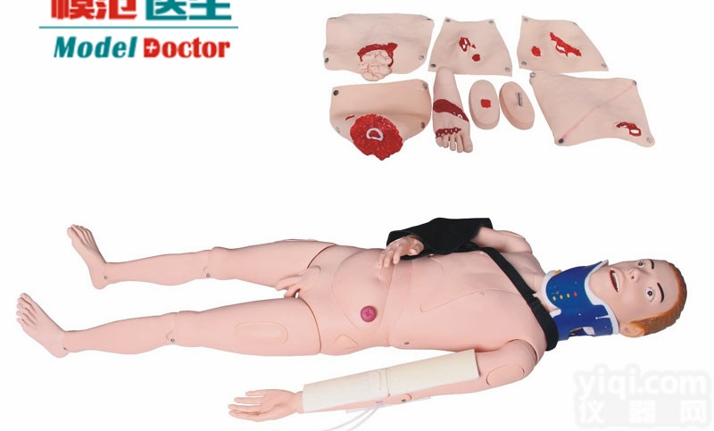 YIM/245  闭<em>合式</em>四肢<em>骨折</em>固定训练<em>模型</em>