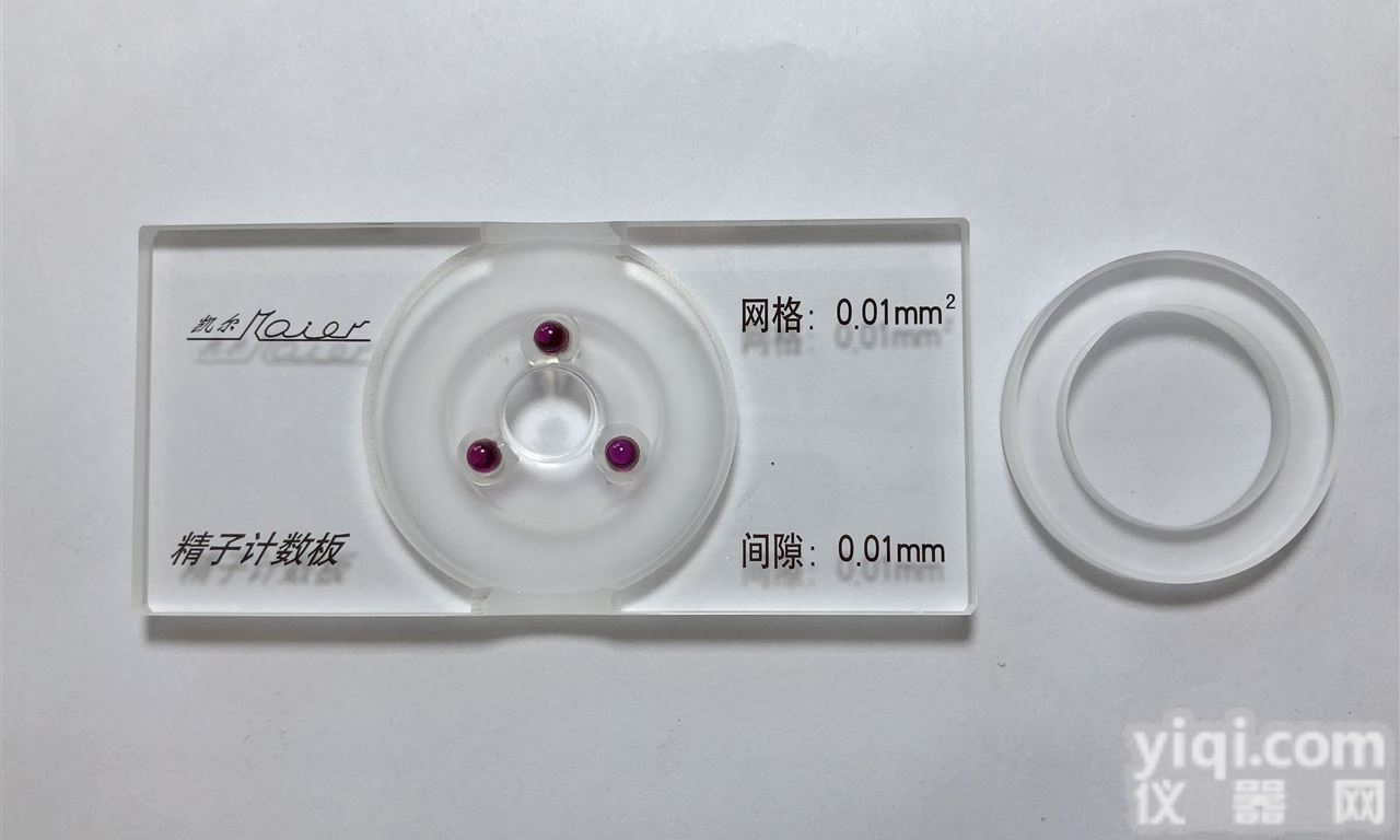 红宝石精子<em>计数板</em> 无<em>网格</em>型