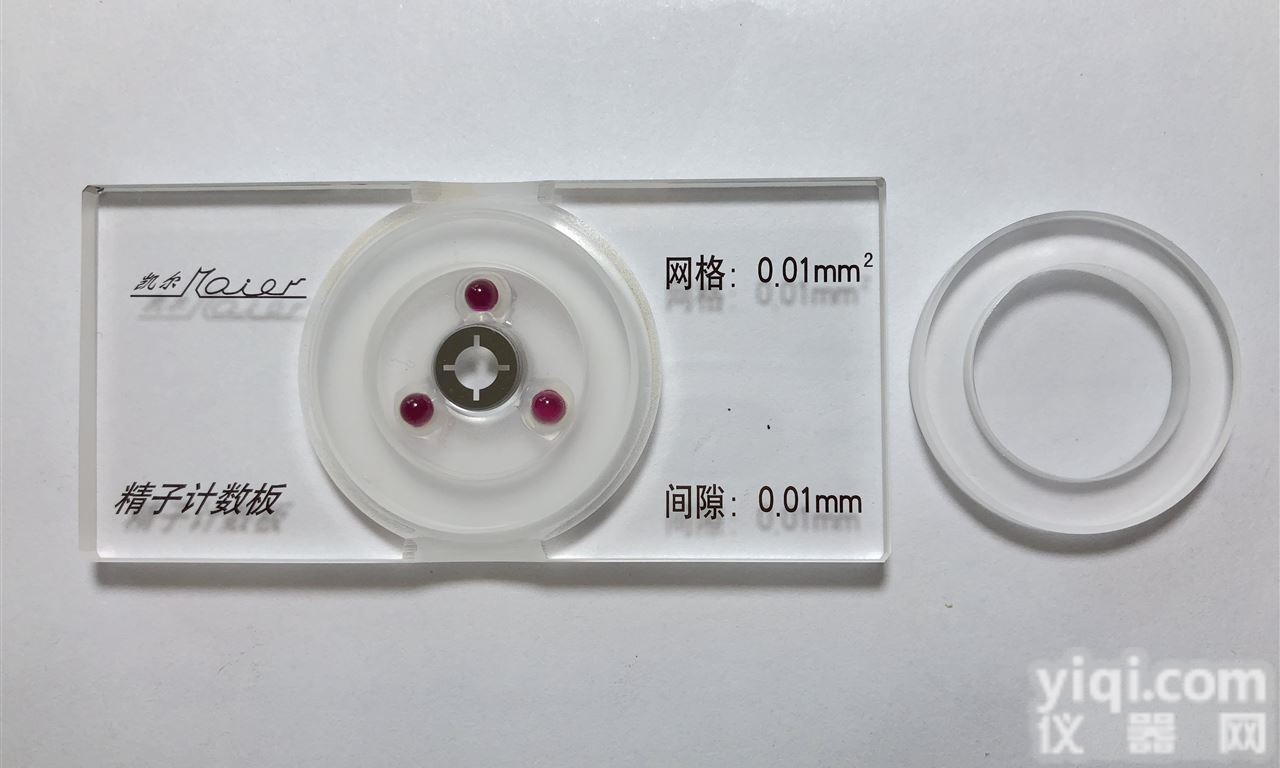 红宝石精子<em>计数板</em> <em>网格</em>型