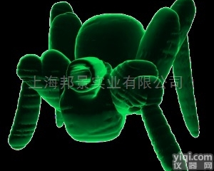 <em>突触</em>相关<em>蛋白</em>25<em>结合</em><em>蛋白</em>抗体