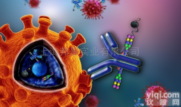 <em>硝基</em>化α-<em>突触</em><em>核蛋白</em>