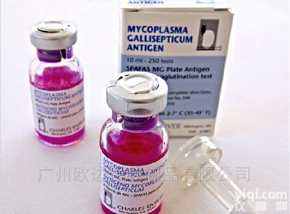 呼吸道<em>传染病</em>  鸡传染性支气管炎<em>抗原</em>原料（Connecticut）