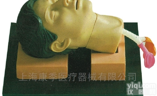 KAJ/CK1261  高级环甲膜<em>穿刺</em>和<em>切开</em>训练仿真模型