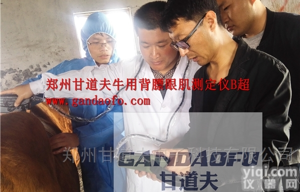 进口<em>兽用</em>背膘<em>眼肌</em><em>测定仪</em>B超价格多少钱