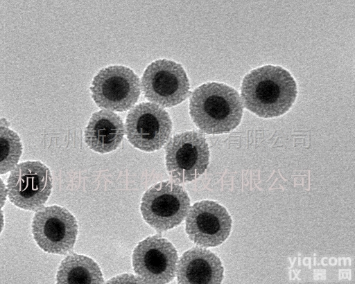 纳米颗粒  <em>水溶性</em>/<em>油溶性</em>上转换纳米颗粒