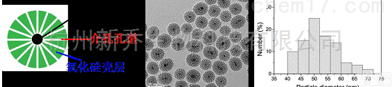 50纳米  单分散介孔<em>二氧化硅</em><em>纳米颗粒</em>