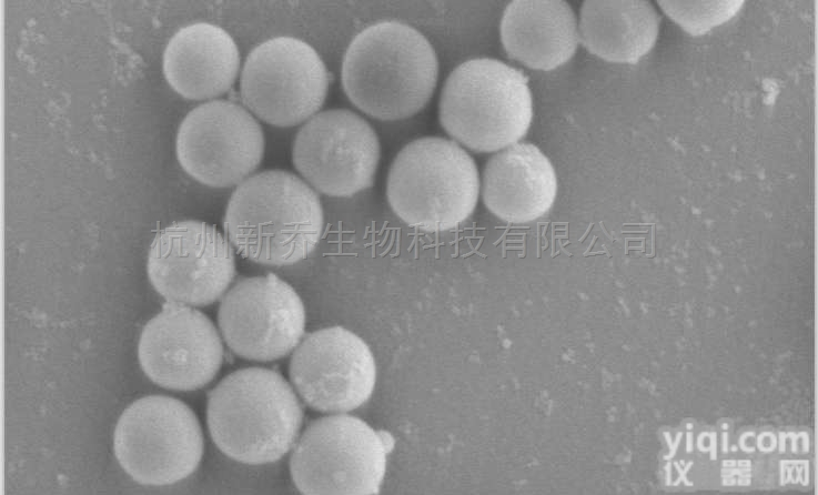 聚苯乙烯微球  链霉<em>亲和</em>素<em>修饰</em>PS微球 聚苯乙烯微球
