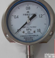 Y-100BF  不锈钢<em>径向</em>带<em>前边</em>压力仪表