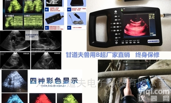 <em>便宜</em>猪用B超母猪B超测孕仪<em>价格报价</em><em>多少</em>钱
