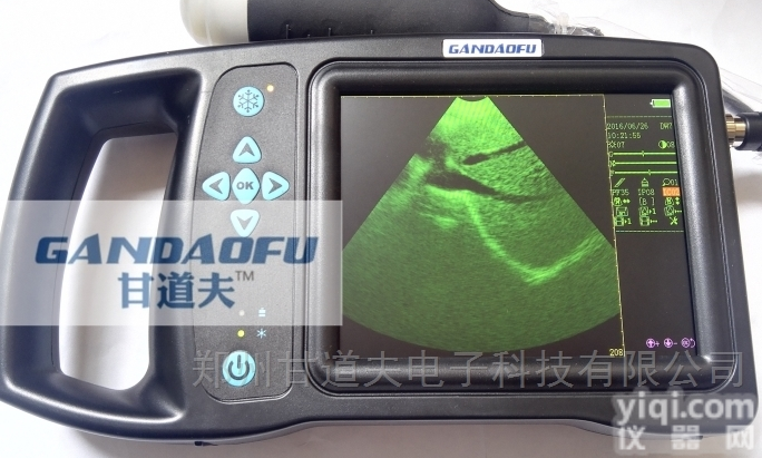 <em>便宜</em>猪用B报价超<em>母猪</em>B超价格多少钱