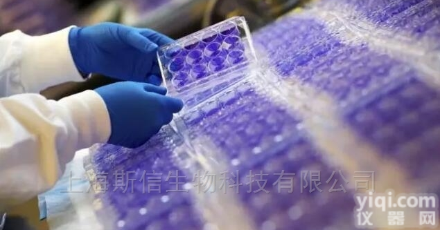 ELISA<em>试剂盒</em>  <em>脂蛋白</em>相关<em>磷脂</em>酶A2ELISA<em>试剂盒</em>