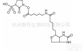 <em>蛋白</em><em>交联剂</em>  CAS：127062-22-0 水溶<em>蛋白</em><em>交联剂</em>
