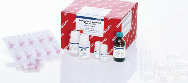 80404  <em>Qiagen</em><em>现货</em>Allprep RNA Protein Kit （50...