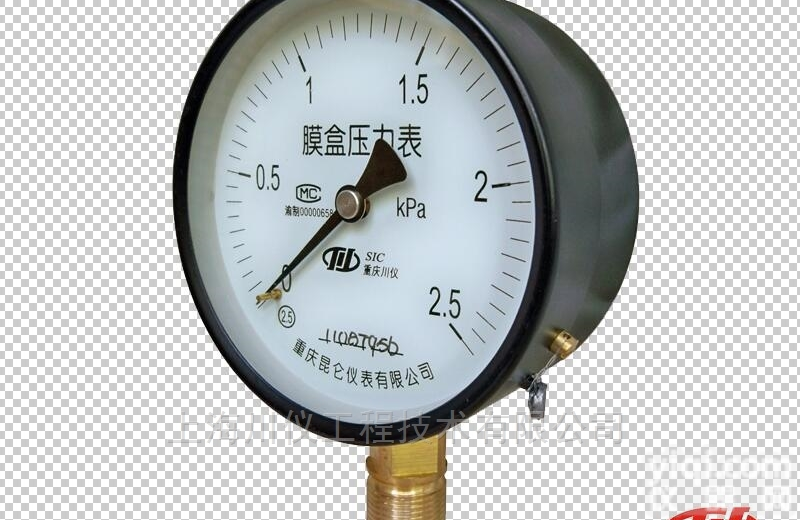 <em>重庆</em><em>川仪</em>YE膜盒<em>压力表</em>