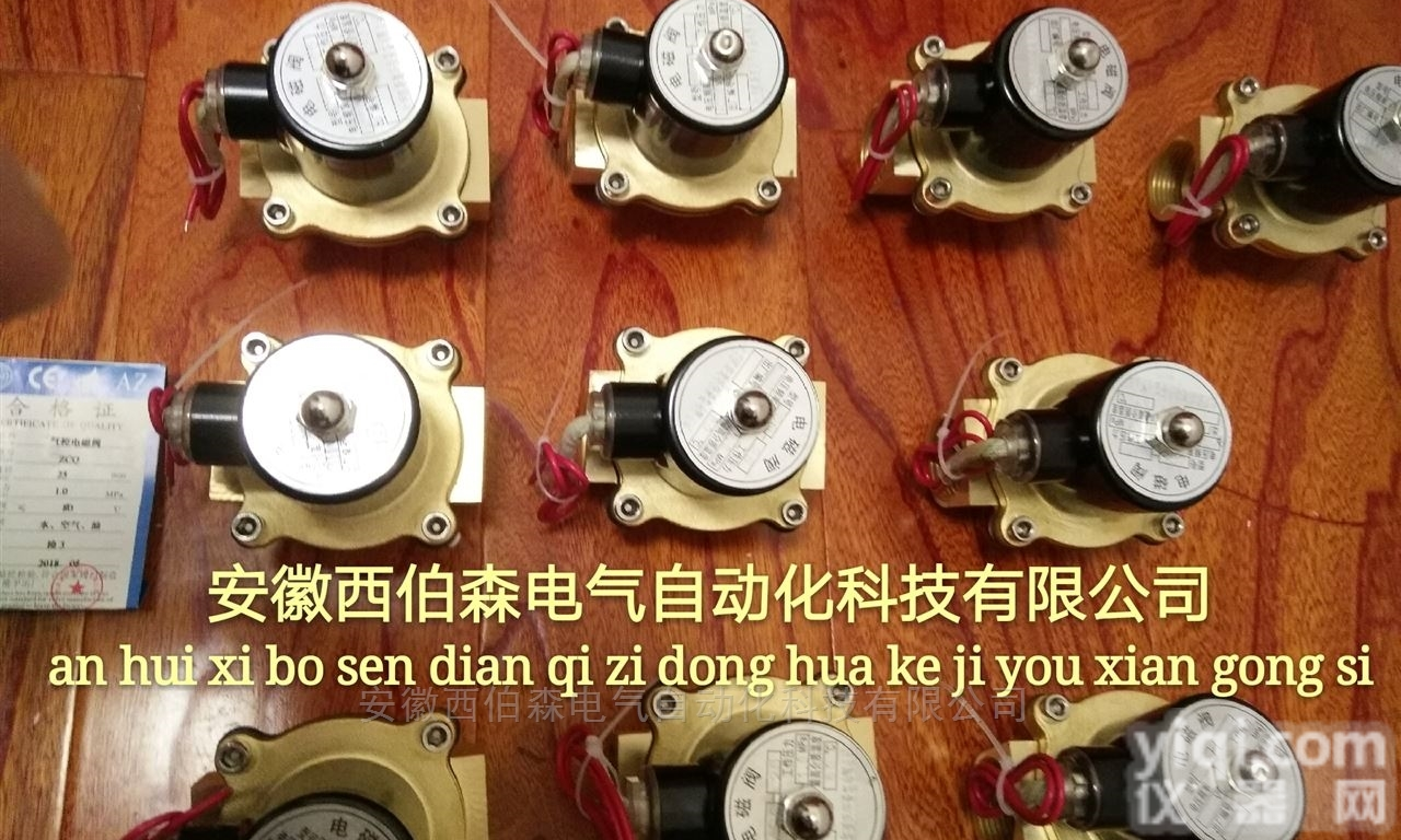 25/32/40/50/100  <em>ZCQ</em><em>电磁阀</em>