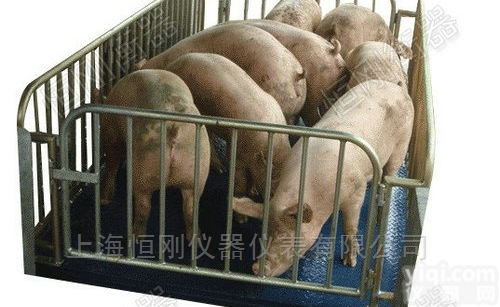 移动畜牧<em>电子秤</em> 带笼电子称 <em>牲畜</em>笼秤