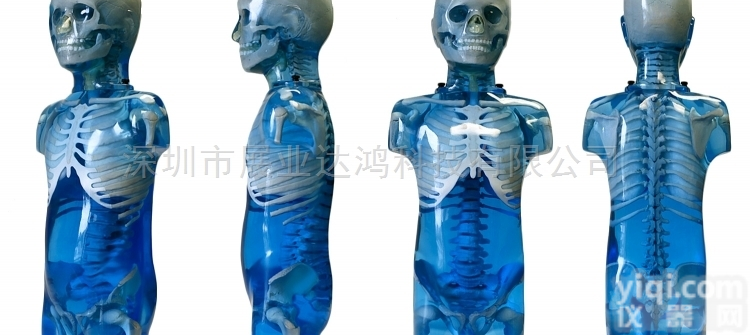 715  儿科<em>拟人</em>化<em>训练</em>模型