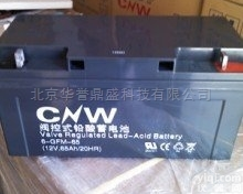 <em>CNW</em><em>储霸</em><em>蓄电池</em>6-GFM-65 UPS电池