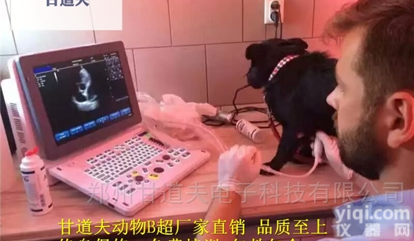 招标采购小动物B超<em>多普勒</em>彩超厂家<em>报价</em>价格