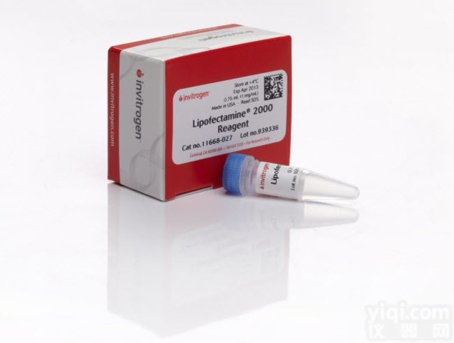 11668027  Lipo2000细胞<em>转染</em><em>试剂</em><em>Invitrogen</em>现货