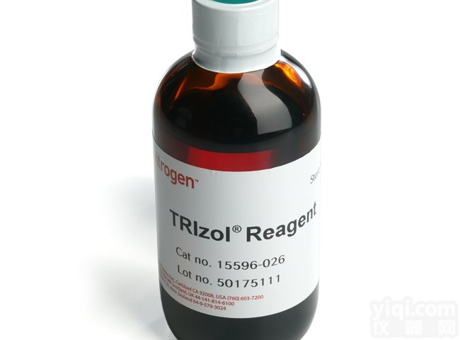 15596026  Invitrogen<em>现货</em>RNA<em>提取</em>试剂15596026