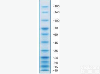 人类白细胞抗原G<em>抗体</em>（N端）<em>HLA</em> G