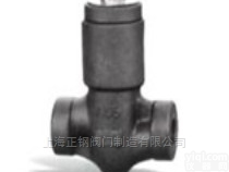 <em>螺纹</em>自<em>密封</em>止回阀H14H