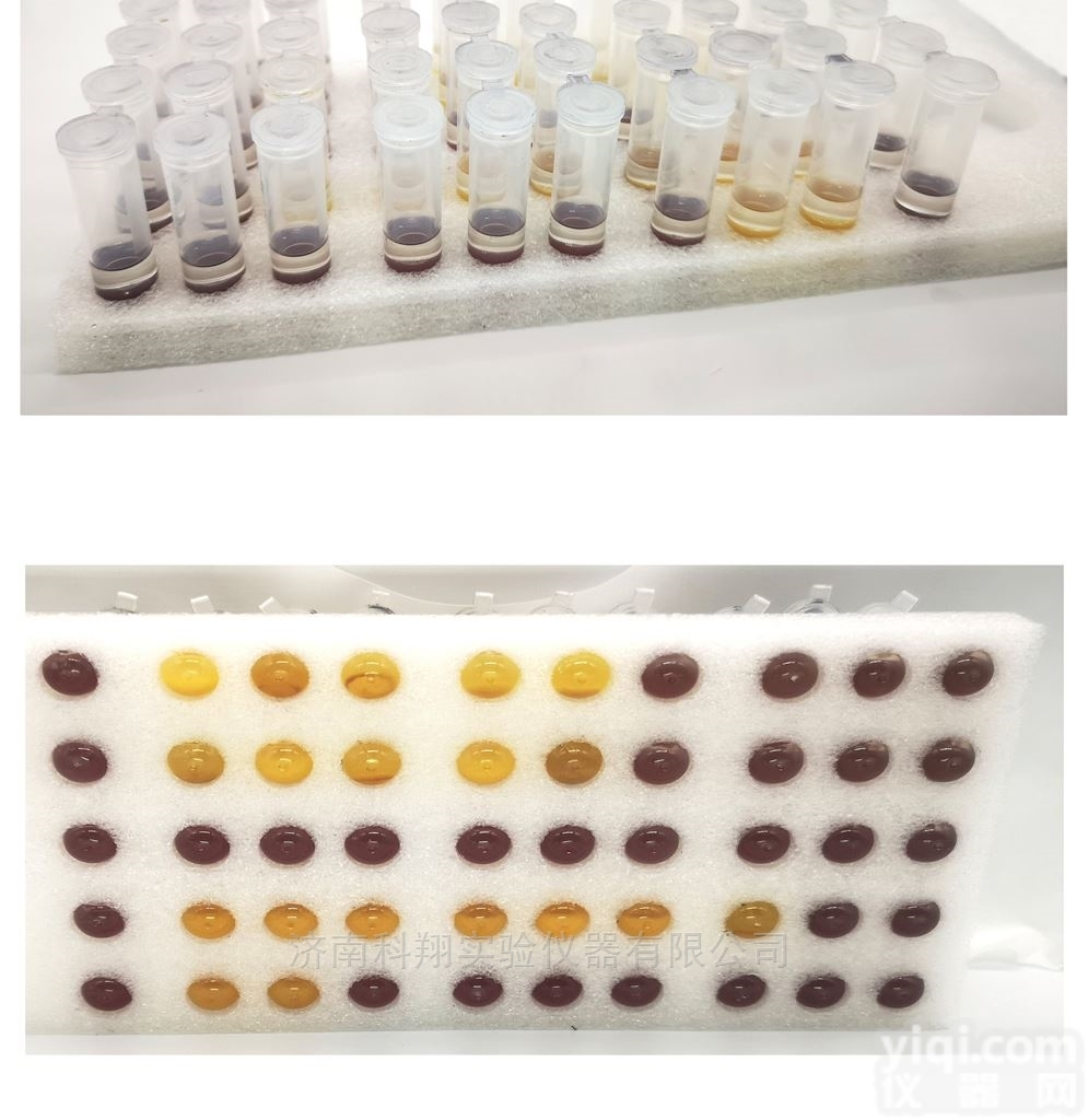 RS01  酸奶<em>奶制品</em>保健品乳酸菌快速检<em>测试</em>剂盒