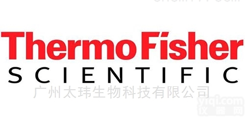 <em>Hypersil</em> BDS Phenyl <em>分析</em>色谱柱