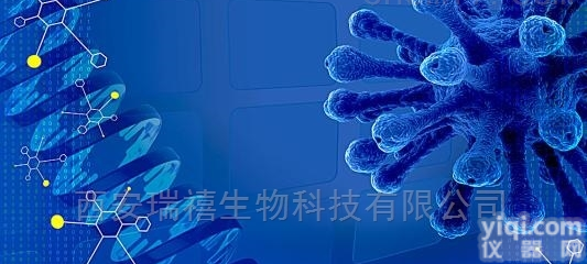 1  多肽修饰介孔<em>二氧化硅</em><em>纳米颗粒</em>-供应科研