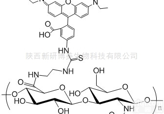 <em>Hyaluronate</em>  <em>Rhodamine</em> B-<em>Hyaluronate</em>,透明质酸