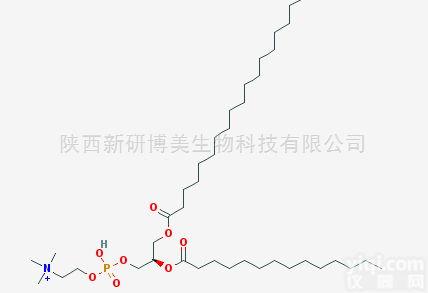 20664-02-2  分析用1-硬脂<em>酰基</em>-2-<em>肉豆蔻</em><em>酰基</em>卵<em>磷脂</em>SMPC