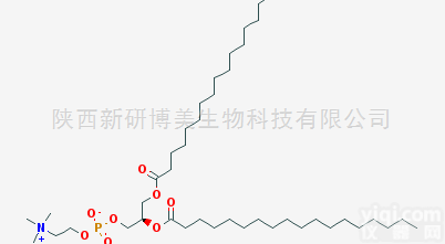 1-棕榈<em>酰基</em>-2-<em>硬脂</em><em>酰基</em>卵磷脂PSPC供应厂家