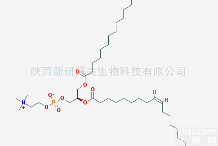 80863-06-5  合成磷脂酰<em>胆碱</em><em>卵磷脂</em>MOPC|80863-06-5