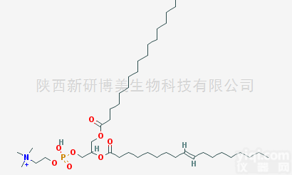 56421-10-4  1-硬脂<em>酰基</em>-2-油<em>酰基</em>卵<em>磷脂</em>SOPC|56421-10-4