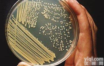 MG基本<em>培养基</em>使用<em>说明书</em>